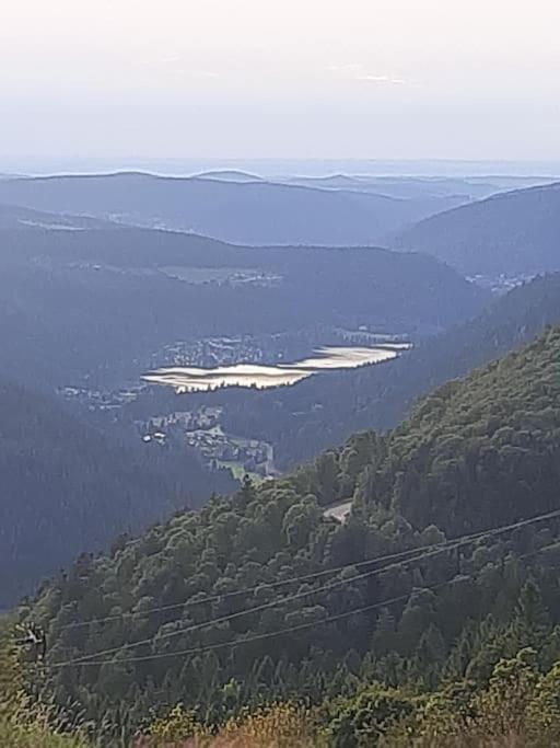 Studio Cosy Ambiance Vosgienne A 20 Mn De Gerardmer Lepanges-sur-Vologne Exterior foto