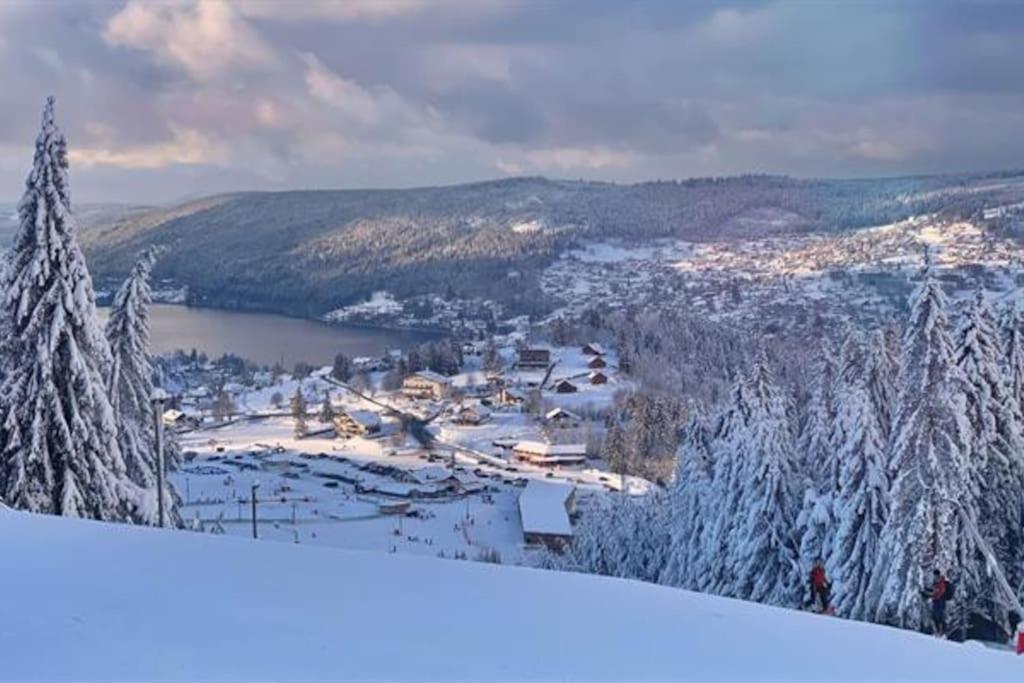 Studio Cosy Ambiance Vosgienne A 20 Mn De Gerardmer Lepanges-sur-Vologne Exterior foto